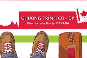 CHƯƠNG TRÌNH CO-OP VỪA HỌC VỪA LÀM NHẬN BẰNG QUỐC TẾ