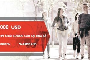 CHƯƠNG TRÌNH HỌC BỔNG TRUNG HỌC PHỔ THÔNG Ở MỸ - TỔ CHỨC GIÁO DỤC AMERIGO
